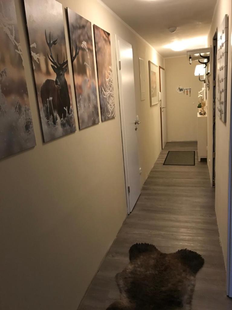 Wurmbergtraum Celina In Braunlage 4 Sterne Zertifiziert Vom Dtv Inklusive Waeschepakete Leilighet Eksteriør bilde
